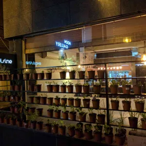 익스퀴진 리뷰 사진