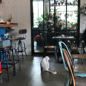 메이비 리뷰 사진