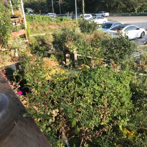 토담마을 리뷰 사진