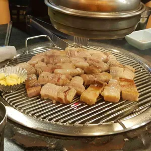 통통돼지 사진