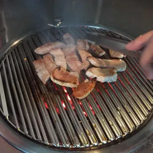 꿀돼지 사진