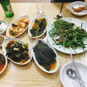 숲속의 쌍방울 오리 사진