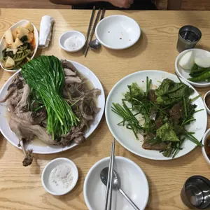 숲속의 쌍방울 오리 사진