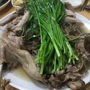숲속의 쌍방울 오리 사진
