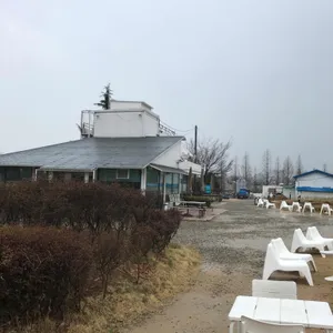 라노비아 리뷰 사진