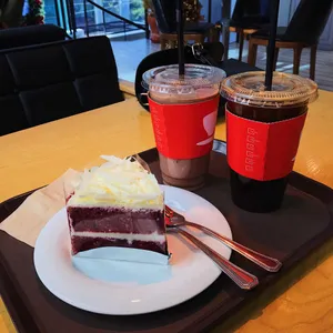 파파 사진