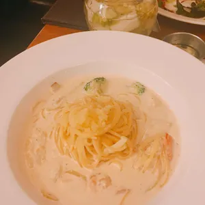 톨리브 사진