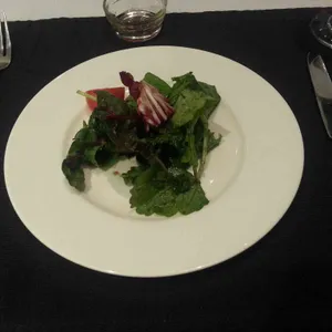 트레비 사진