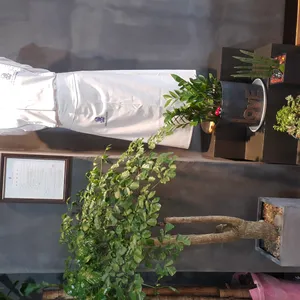 담꼬 리뷰 사진