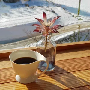 바셀로 리뷰 사진