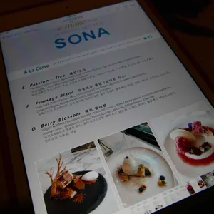 소나 리뷰 사진