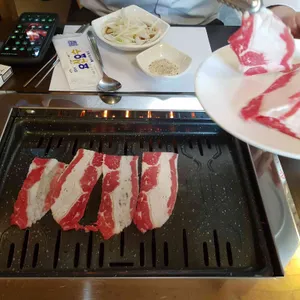 화우 사진