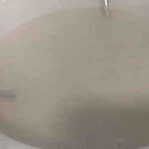 왕가네칼국수 사진
