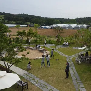 어쓰120 리뷰 사진