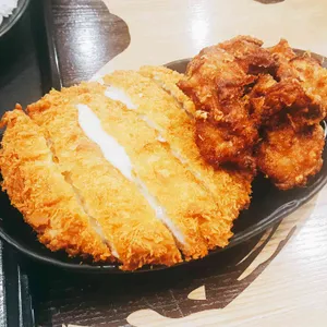 아비꼬 사진