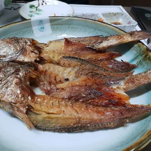 황금어장 사진
