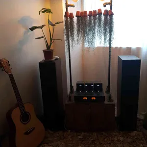 스톤플랜트 리뷰 사진