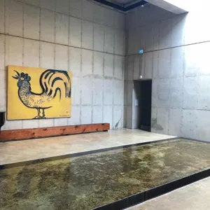 아원 리뷰 사진