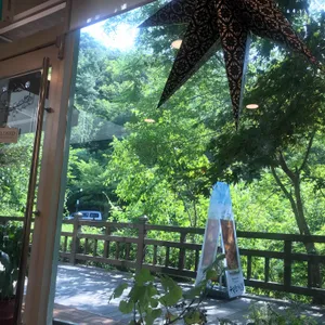 수목원가는길 리뷰 사진