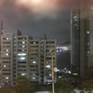 빈스톡 대표 사진