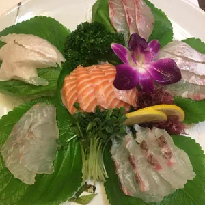 해마 사진