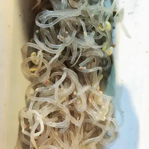 참 좋은 생각 사진