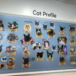 고양이놀이터 리뷰 사진