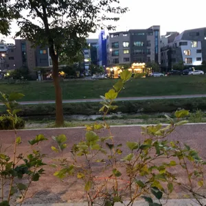 마담파이 리뷰 사진