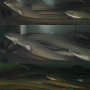 에덴그린농원 리뷰 사진