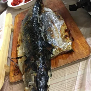충청도회초장 욕지고등어회 리뷰 사진