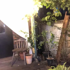 포지티브즈 리뷰 사진