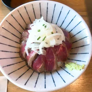 홍대개미 사진