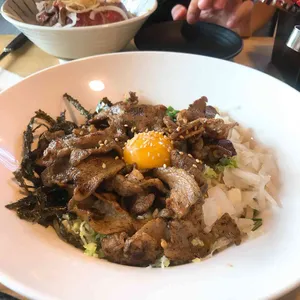 홍대개미 사진