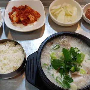 민들레 사진