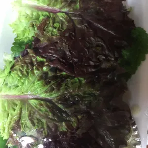 대동원회시장 사진