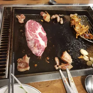 촌돼지 사진