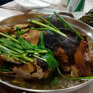 보리밭 사진