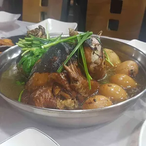 보리밭 사진