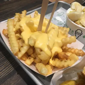 쉑쉑버거 리뷰 사진