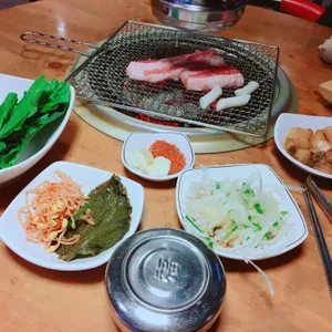 허니피그 사진