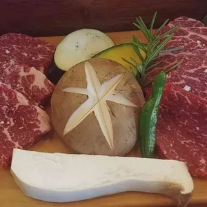 카타 사진