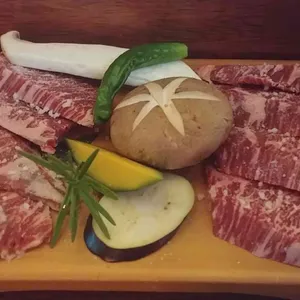 카타 사진