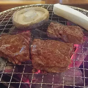 카타 사진