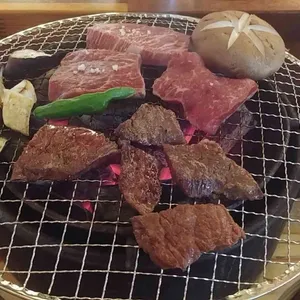 카타 사진