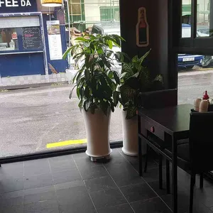 크랩회피쉬 대표 사진