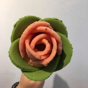 꽃봉자 사진