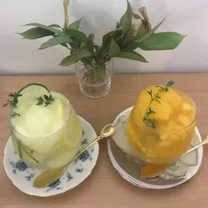 제뉴어리피크닉 사진