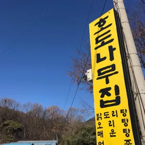 호도나무집 리뷰 사진