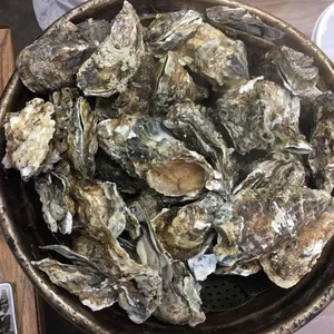 바다이야기 사진