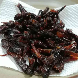 산버섯식당 사진